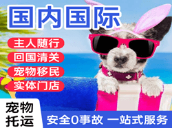 迪庆香格里拉国际宠物托运 【国